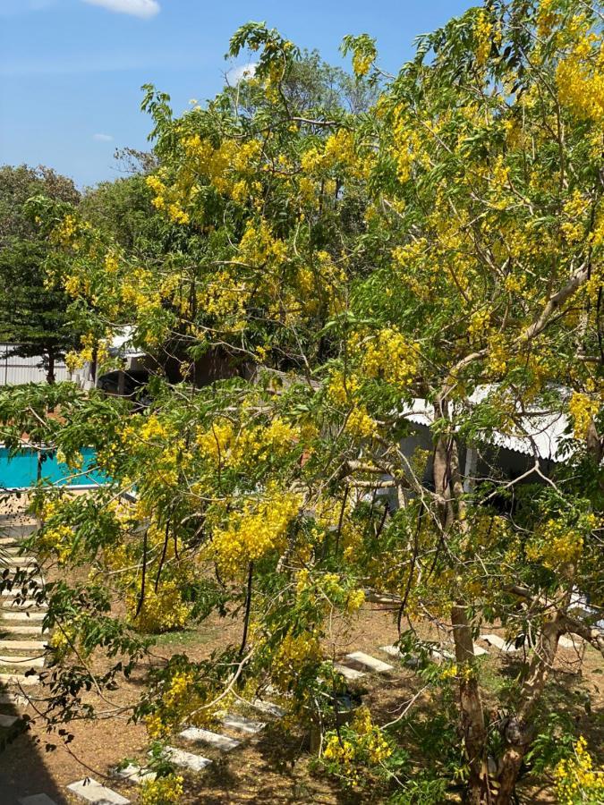 Sapphire Garden Hotel Habarana Exteriér fotografie